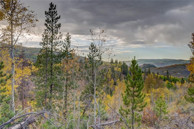 33005 Maricopa Trl, Oak Creek, CO 80467