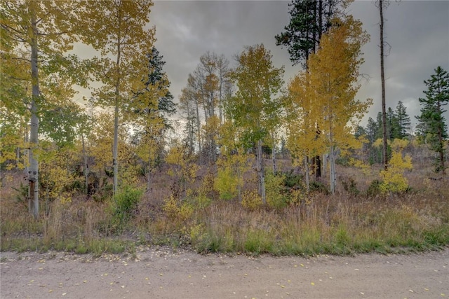 33005 Maricopa Trl, Oak Creek, CO 80467