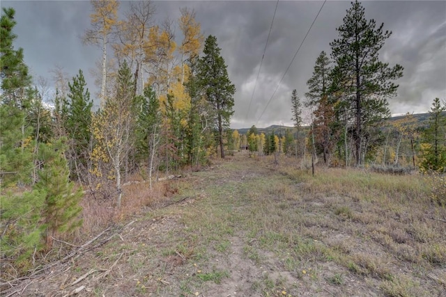 33005 Maricopa Trl, Oak Creek, CO 80467