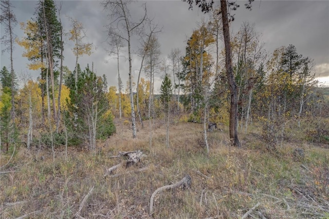 33005 Maricopa Trl, Oak Creek, CO 80467