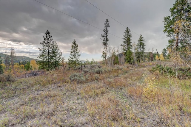 33005 Maricopa Trl, Oak Creek, CO 80467