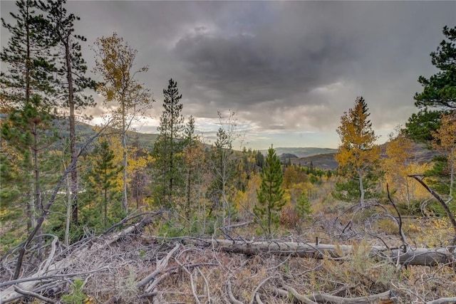 33005 Maricopa Trl, Oak Creek, CO 80467