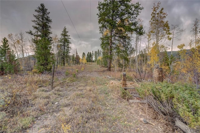 33005 Maricopa Trl, Oak Creek, CO 80467