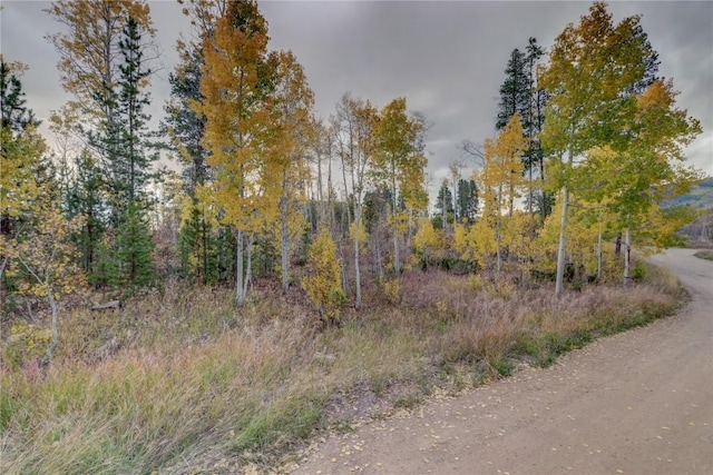 33005 Maricopa Trl, Oak Creek, CO 80467