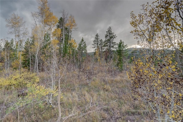 33005 Maricopa Trl, Oak Creek, CO 80467