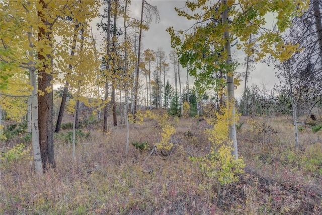 33005 Maricopa Trl, Oak Creek, CO 80467