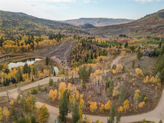 33005 Maricopa Trl, Oak Creek, CO 80467