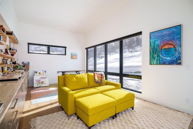 33200 Meadow Creek Dr, Steamboat Springs, CO 80487 - sitting room featuring wood finished floors and baseboards