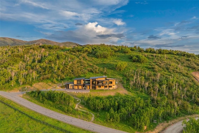 33200 Meadow Creek Dr, Steamboat Springs, CO 80487 - aerial view of property's location featuring a forest and a mountainous background
