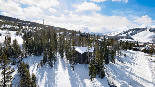 740 Cirrus Way, Granby, CO 80446 - mountain view