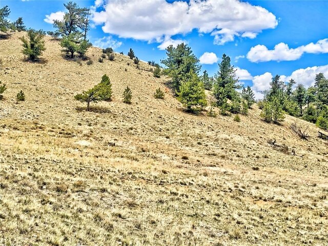 243 June Ln, Hartsel, CO 80449