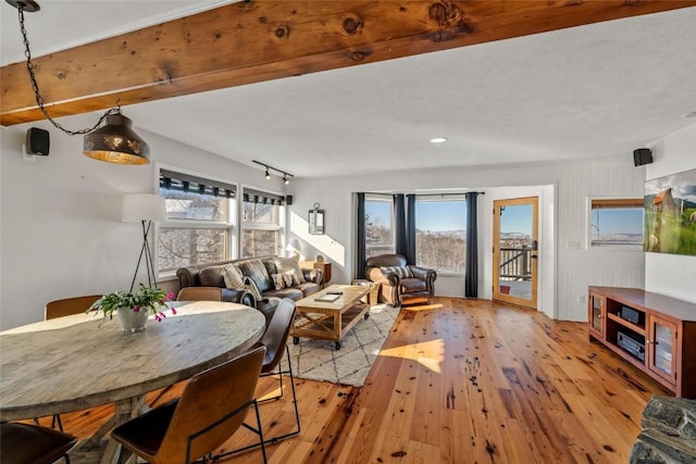 living room with light wood-type flooring and rail lighting