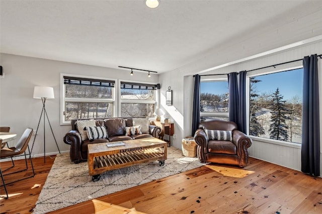 living room with rail lighting and light hardwood / wood-style flooring