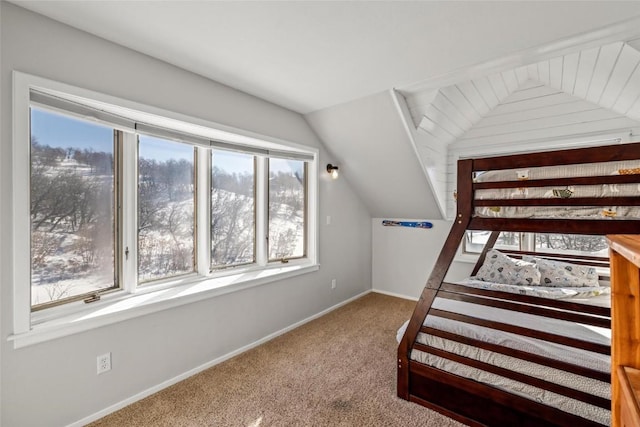 bedroom with carpet flooring