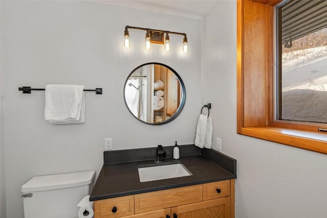 bathroom with toilet and vanity