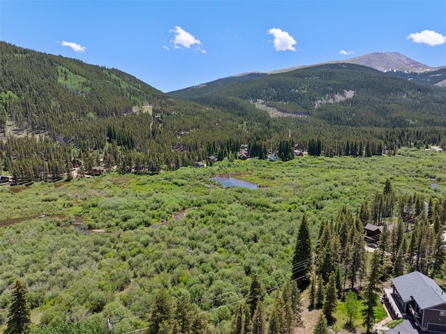 16 Rustic Ter, Breckenridge, CO 80424 - photo 13