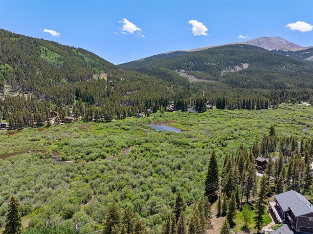 16 Rustic Ter, Breckenridge, CO 80424 - photo 10