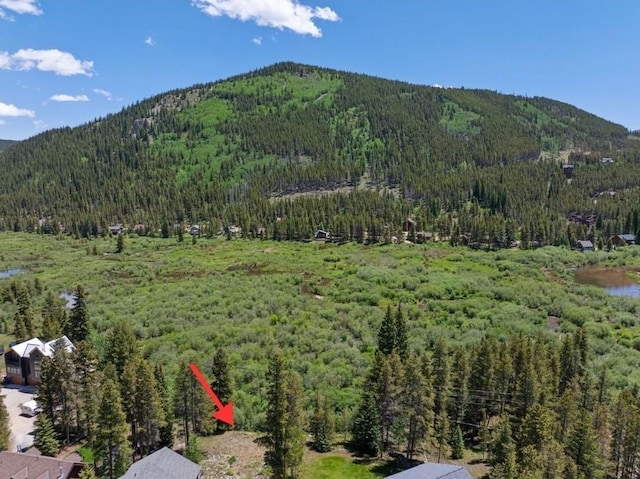 16 Rustic Ter, Breckenridge, CO 80424 - photo 2
