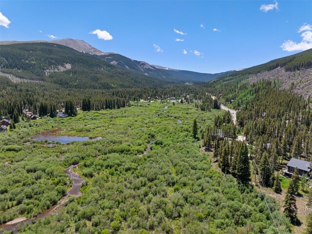 16 Rustic Ter, Breckenridge, CO 80424 - photo 9