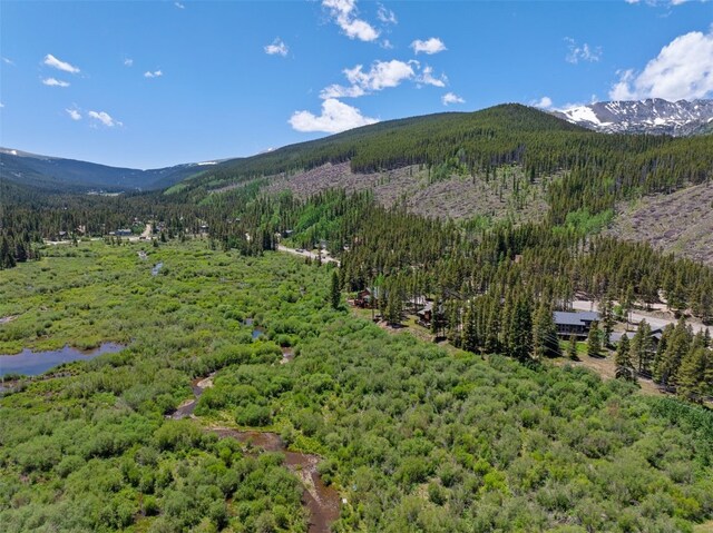 16 Rustic Ter, Breckenridge, CO 80424 - photo 8