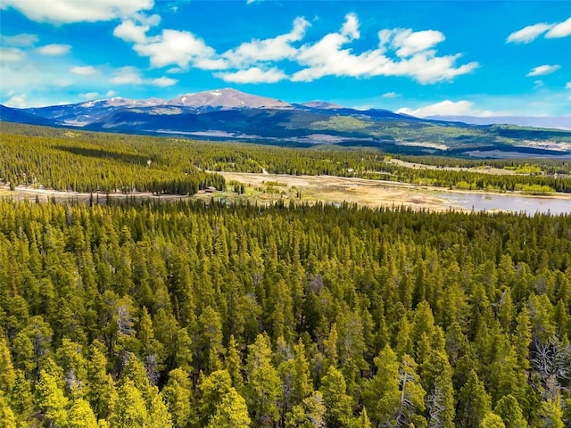 TBD Dry Gulch, Fairplay, CO 80440