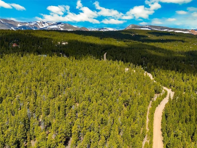 TBD Dry Gulch, Fairplay, CO 80440