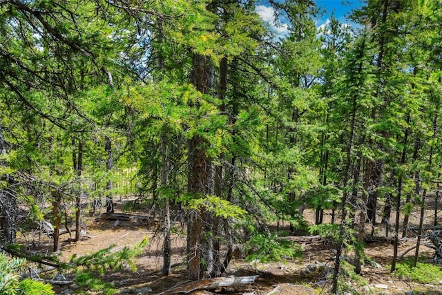 TBD Dry Gulch, Fairplay, CO 80440