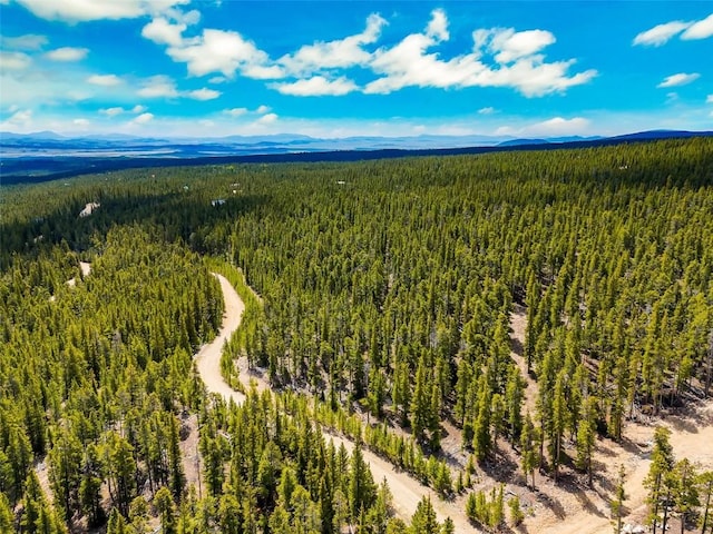 TBD Dry Gulch, Fairplay, CO 80440