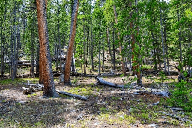 TBD Dry Gulch, Fairplay, CO 80440