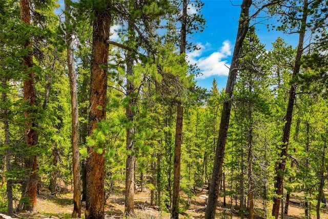 TBD Dry Gulch, Fairplay, CO 80440