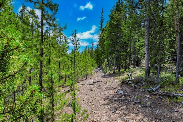 TBD Dry Gulch, Fairplay, CO 80440