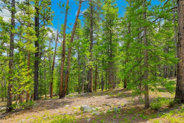 TBD Dry Gulch, Fairplay, CO 80440