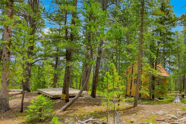 TBD Dry Gulch, Fairplay, CO 80440