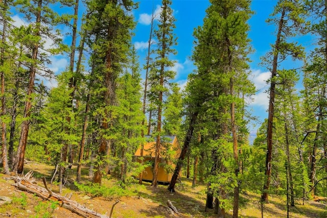 TBD Dry Gulch, Fairplay, CO 80440