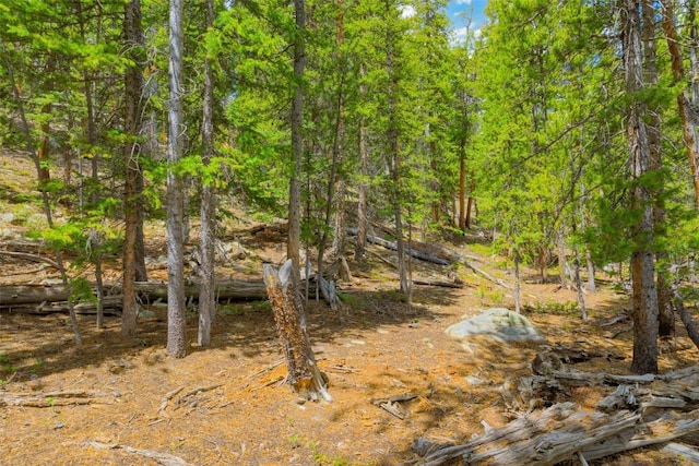 TBD Dry Gulch, Fairplay, CO 80440