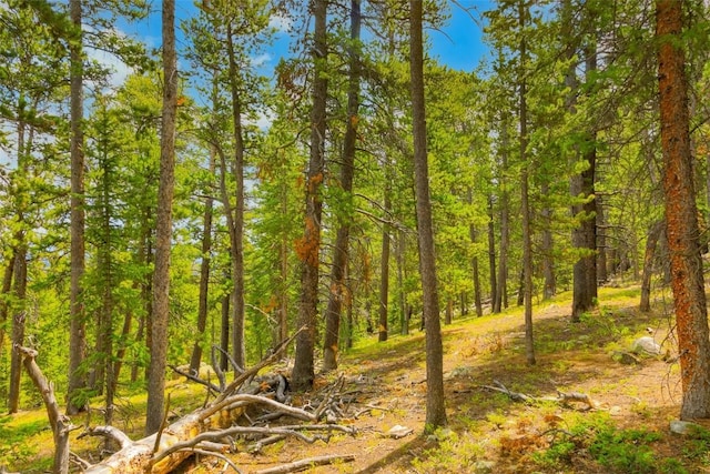 TBD Dry Gulch, Fairplay, CO 80440