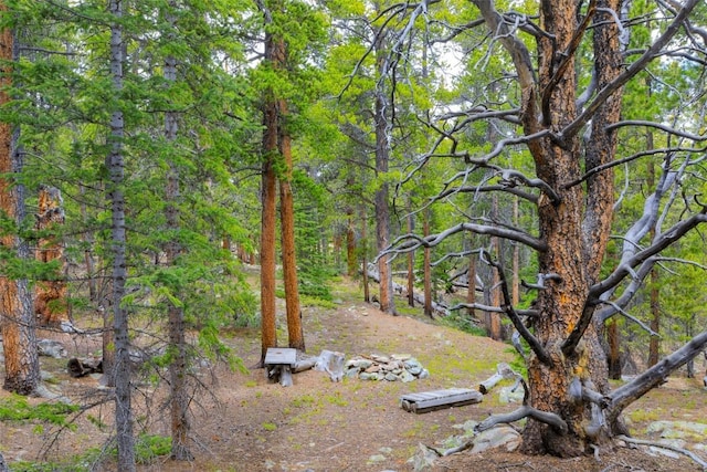 TBD Dry Gulch, Fairplay, CO 80440