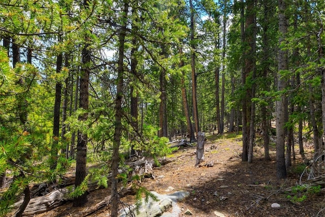 TBD Dry Gulch, Fairplay, CO 80440
