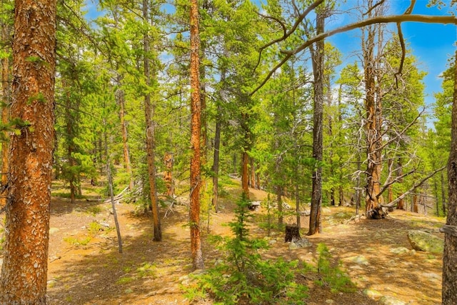 TBD Dry Gulch, Fairplay, CO 80440