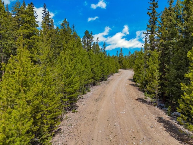 TBD Dry Gulch, Fairplay, CO 80440
