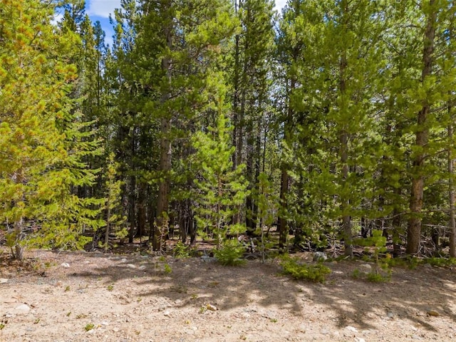 TBD Dry Gulch, Fairplay, CO 80440