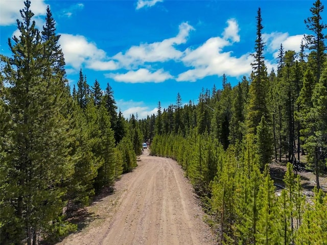 TBD Dry Gulch, Fairplay, CO 80440