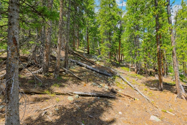TBD Dry Gulch, Fairplay, CO 80440