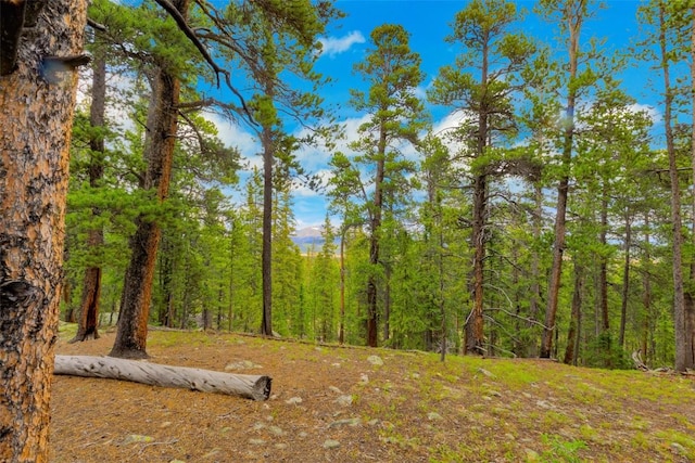 TBD Dry Gulch, Fairplay, CO 80440