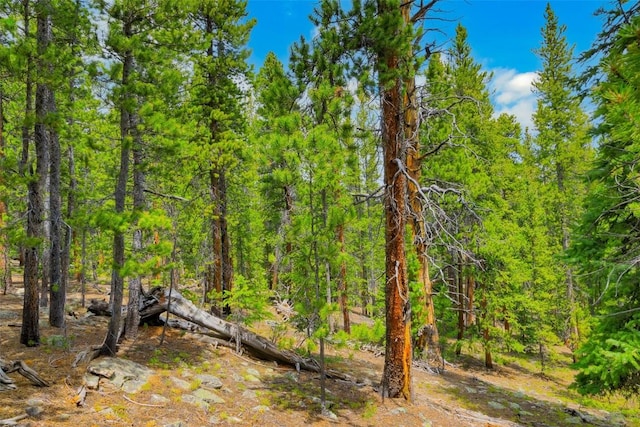 TBD Dry Gulch, Fairplay, CO 80440