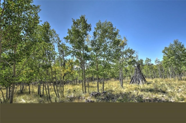 view of nature