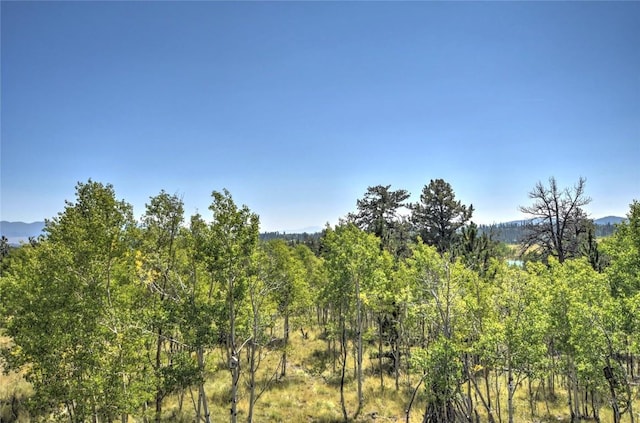 view of nature with a view of trees