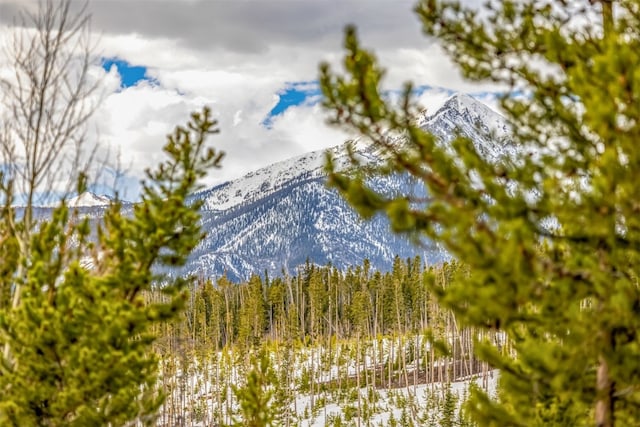 mountain view featuring a wooded view