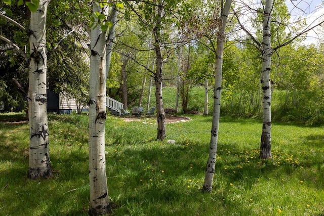485 Amethyst Dr, Steamboat Springs, CO 80487 - view of yard