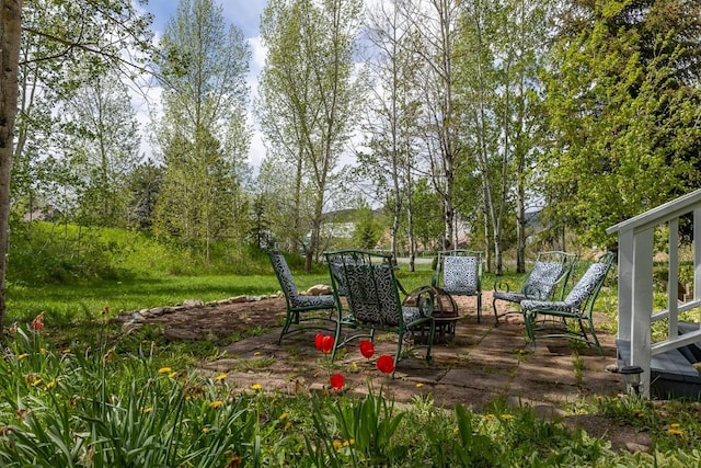 485 Amethyst Dr, Steamboat Springs, CO 80487 - view of patio / terrace